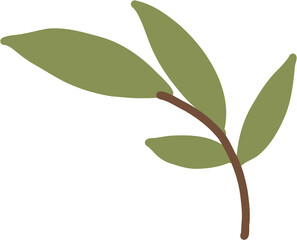 doodle freehand sketch drawing of maple leaf.