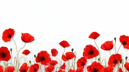 A field of red poppies against a white background. Digital image. - obrazy, fototapety, plakaty