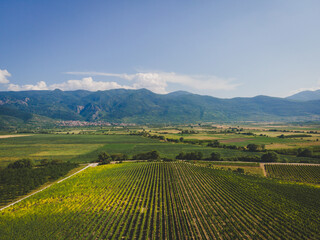 Fototapeta premium rice field in the mountains
