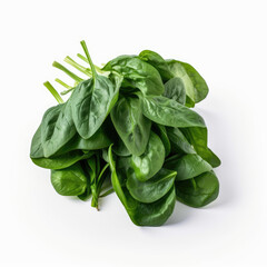 fresh spinach leaves on white