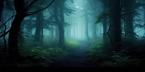 Foto op Canvas Mysterious misty morning nature. Embracing darkness. Foggy forest landscape. Lost in woods. Misty autumn path © Bussakon