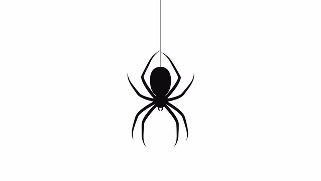 Spider descends on web. 2D animation video. motion graphics with alpha channel.