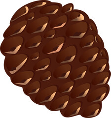 Flat Style Brown Pine Cone On White Background.