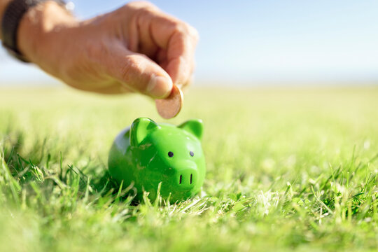 Saving money in green piggy bank, savings, accounting, banking and business account or sustainable and environmentally friendly finance