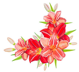 Bouquet with red lilies, watercolor botanical illustration