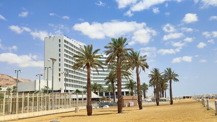 Obraz premium trees on the beach