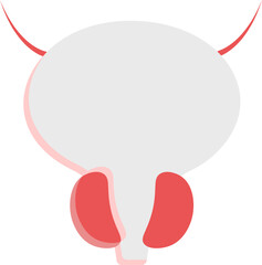 Grey And Red Prostate Gland Anatomy Flat Icon.