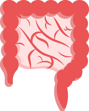 Flat Illustration Of Intestine Anatomy Red Icon.