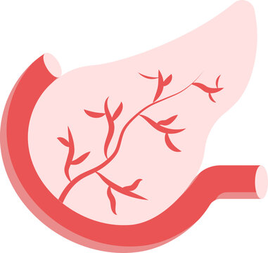 Flat Illustration Of Pancreas Anatomy Red Icon.