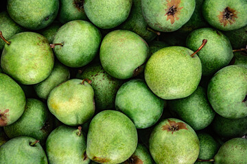 Background of ripe pears. Harvest from garden.