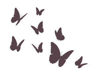 set of butterflies isolated