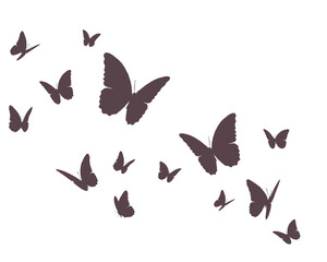 collection of butterflies black icon set