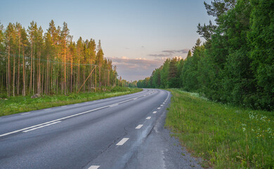 Asphalt road in nice green forest