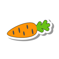 Healthy orange carrot. Ripe healthy vegetable. Seasonal harvest of edible plants concept. Flat paper sticker isolated on white background