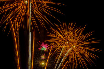 Colorful fireworks exploded in the night sky.