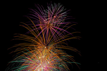 Colorful fireworks exploded in the night sky.