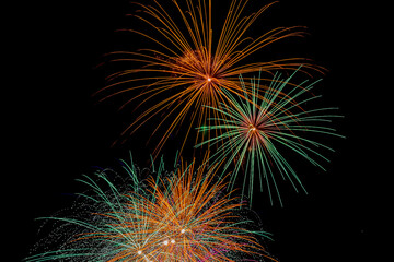 Colorful fireworks exploded in the night sky.
