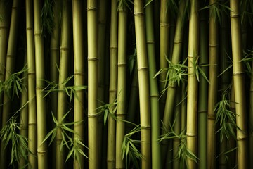 Fototapeta na wymiar Bamboo grove setting, reflecting the tranquility of an exotic jungle. Generate Ai