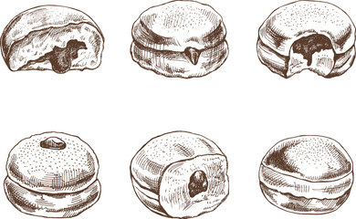 A set of hand-drawn sketches of a traditional German or Polish donut with jam, dusted. Vintage illustration. Pastry sweets, dessert. Element for the design of labels, packaging and postcards.