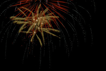 Colorful fireworks exploded in the night sky.