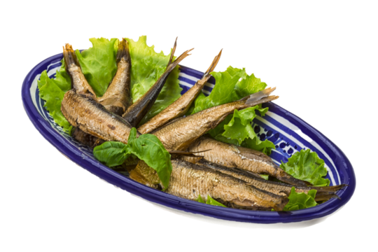 Tinned sprat