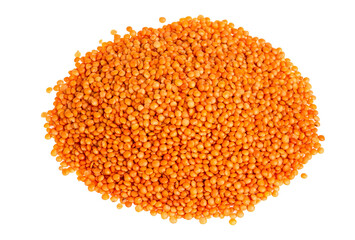 red lentils isolated on white