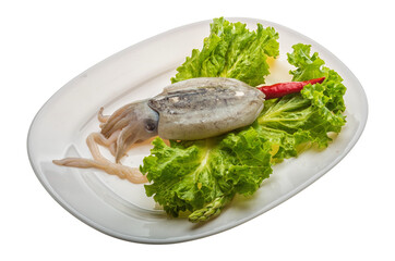 Raw cuttlefish