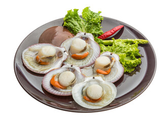 Raw fresh scallop
