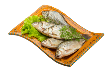 Crucian fish
