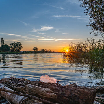 Sonnenuntergang mit einer Feder am Ufer des Bodensee im Rheintal, Vorarlberg, Austria. Die Sonne spiegelt sich im Wasser, mit Schilf und B&auml;umen eingerahmt. Abendrot, mit roten, orangen Wolken. Trauer