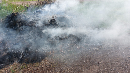 Fire and smoke from burning grass.