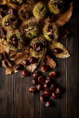 Top view of fresh chestnuts