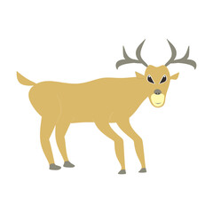 illustration deer