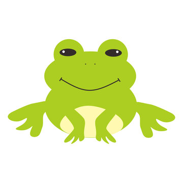 illustration frog