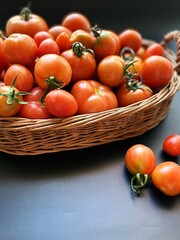 fresh tomatoes, harvested tomatoes in a basket, summer harvest, tomatoes of various sizes, small tomatoes, harvest from the garden