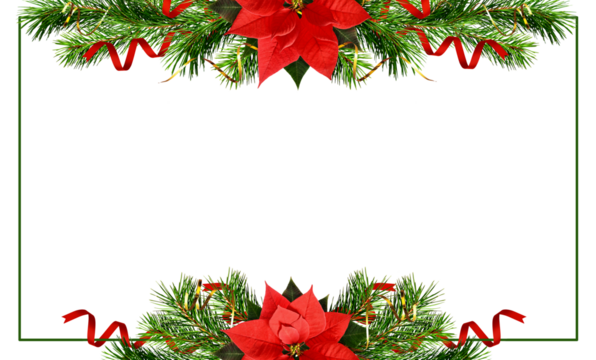Christmas tree branches, bells and red poinsettia flower in a holiday frame isolated on white or transparent background