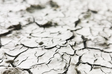 dry soil in the czech republic