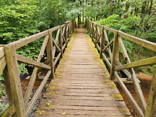 old green wooden bridge in the forest