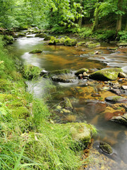 Naklejka na ściany i meble small river in spring czech forest