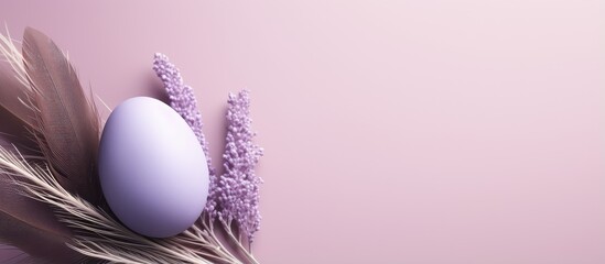 Purple Easter egg with bird feather on a isolated pastel background Copy space space for text Minimal Easter card concept Top view selective focus