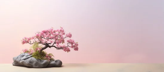 Foto auf Alu-Dibond tiny bonsai isolated pastel background Copy space © HN Works