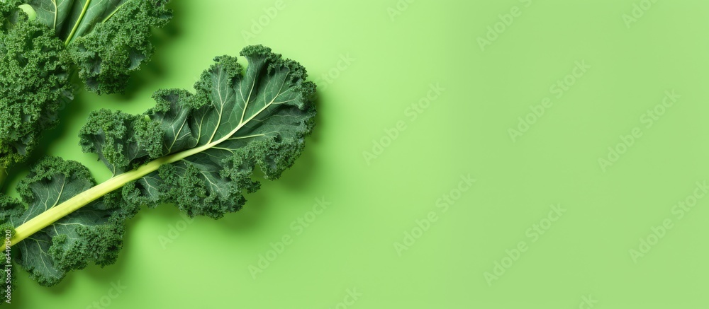 Poster Kale in green against a isolated pastel background Copy space