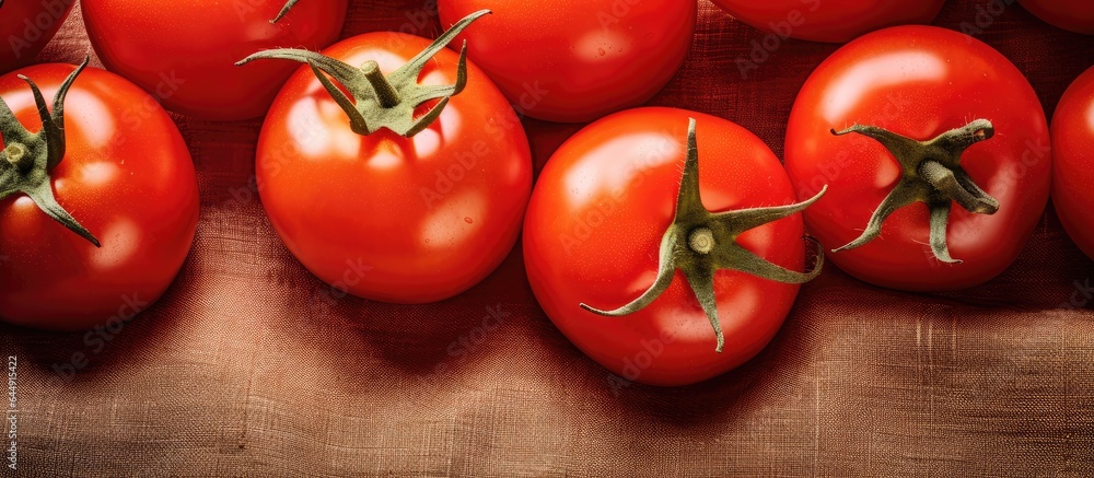 Poster close up of select red ripe tomatoes isolated pastel background copy space