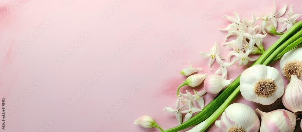 Poster garlic onion and lime flowers on isolated pastel background copy space en background
