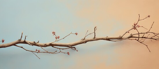 Fototapeta na wymiar A thorny branch in the wilderness isolated pastel background Copy space