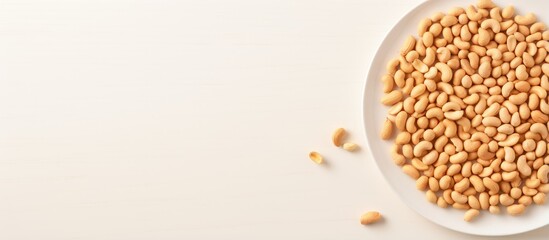 Groundnut isolated on a isolated pastel background Copy space in a white plate