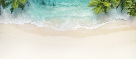 Samoas sandy beach lush with plants and palm trees is tropical isolated pastel background Copy space