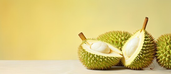 Durian is a globally traded fruit isolated pastel background Copy space