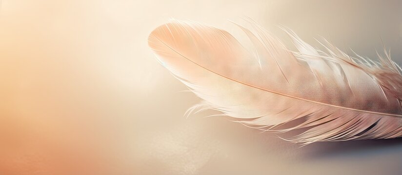 Fototapeta Muted colors in closeup of feather macro photo with beautiful minimalistic background isolated pastel background Copy space