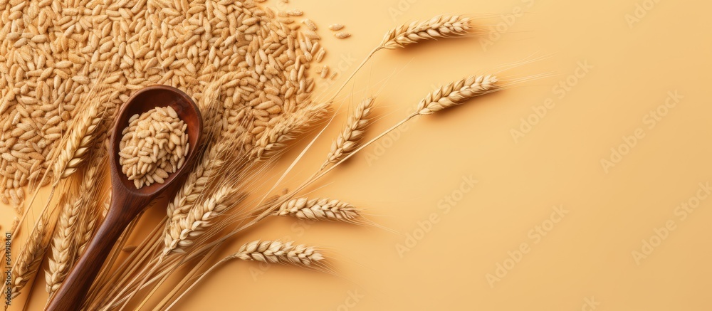 Poster grains of wheat and scoop on a isolated pastel background copy space